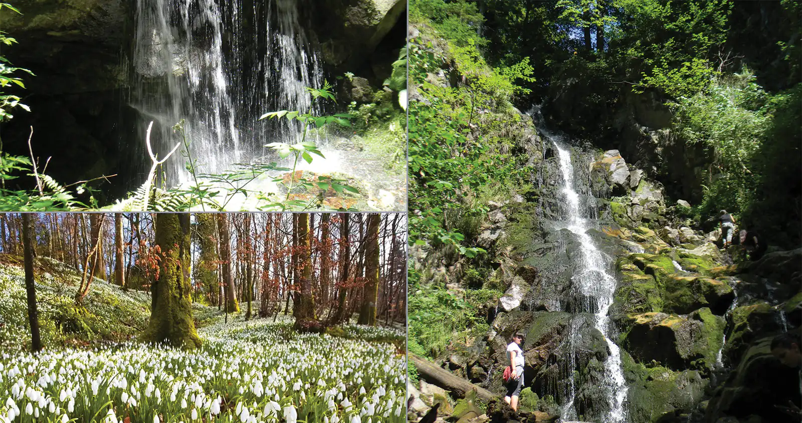 Cascada Sipotului