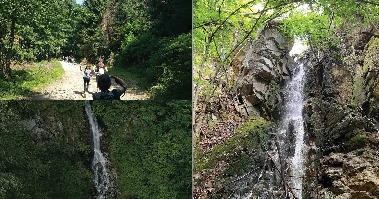 Cascada Turtur