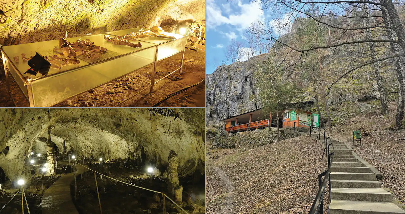 Peștera Muierii